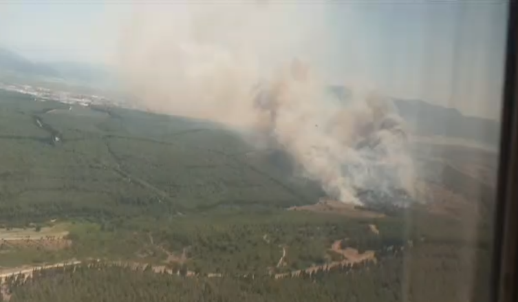 Aliağa ve Menderes'teki orman yangını kontrol altında